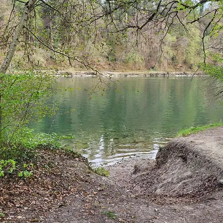 Whole Marechal Near Zurich Airport Free Parking Wifi Апартаменты